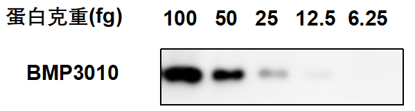 SuperKine™ Universal ECL Substrate