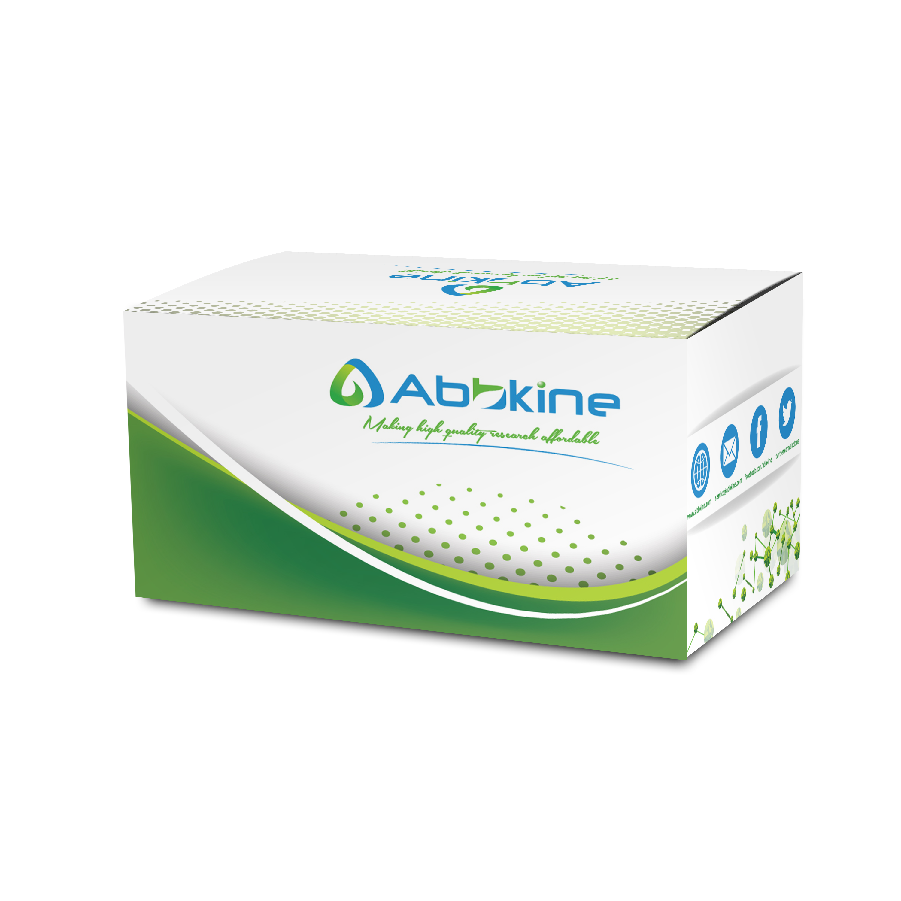 CheKine™ Micro NADH Oxidase (NOX) Assay Kit