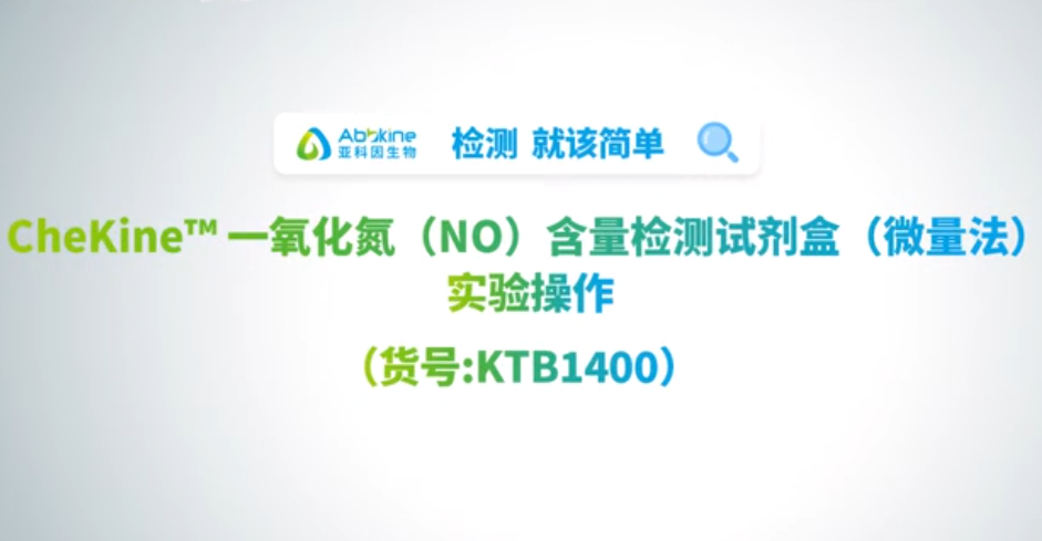 亚科因一氧化氮（NO）含量检测试剂盒实操全攻略