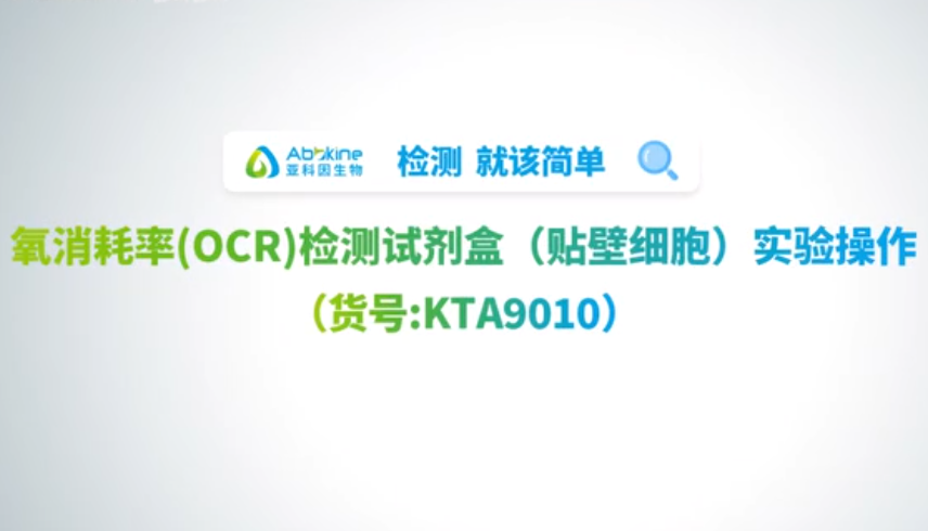 贴壁细胞-细胞氧消耗率（OCR）检测实操攻略