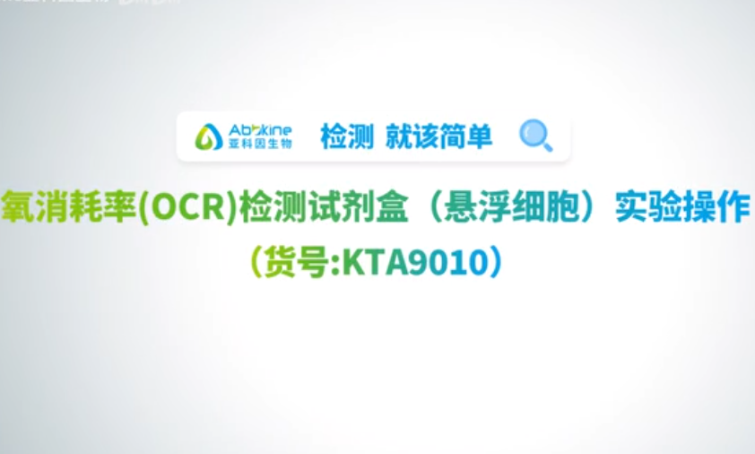 OCR 细胞氧消耗率检测-悬浮细胞｜实验干货