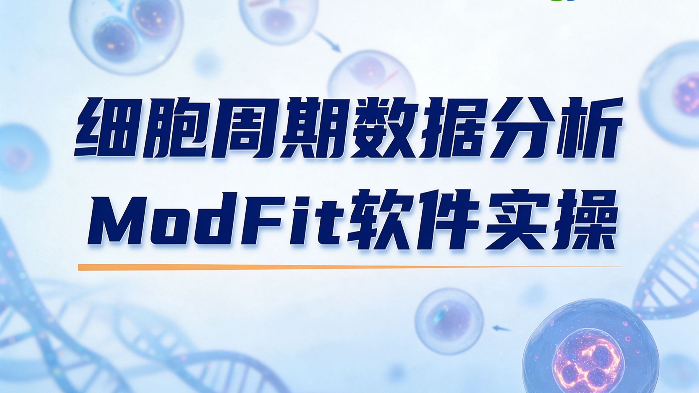 新手必看！ModFit 细胞周期分析保姆级教程